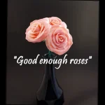 ”Good enough roses” – Lagom realistiska rosor.