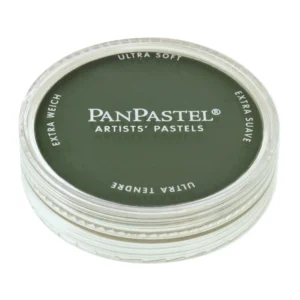 640.1 Permanent Green Extra Dark - PanPastel